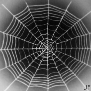 spider-web